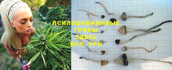 гашик Карталы