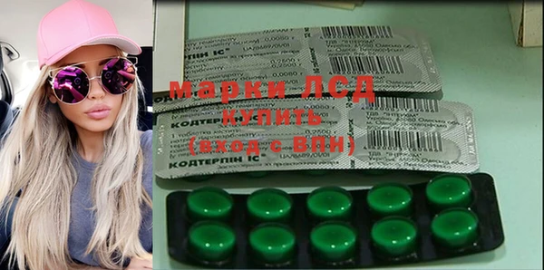 spice Карпинск