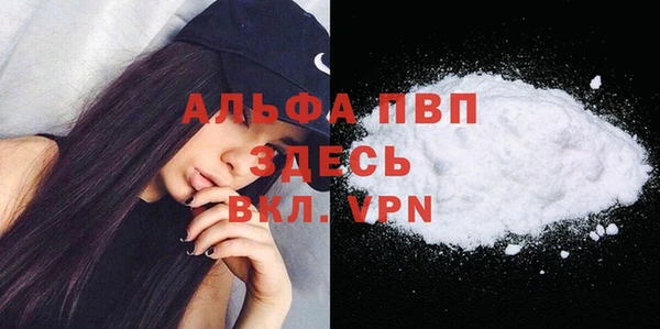 spice Карпинск