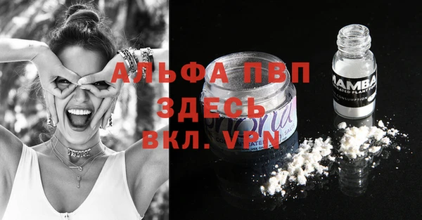 spice Карпинск