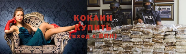 гашик Карталы
