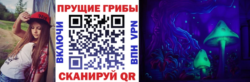 Купить закладки  Тихвин  Псилоцибиновые грибы GOLDEN TEACHER 